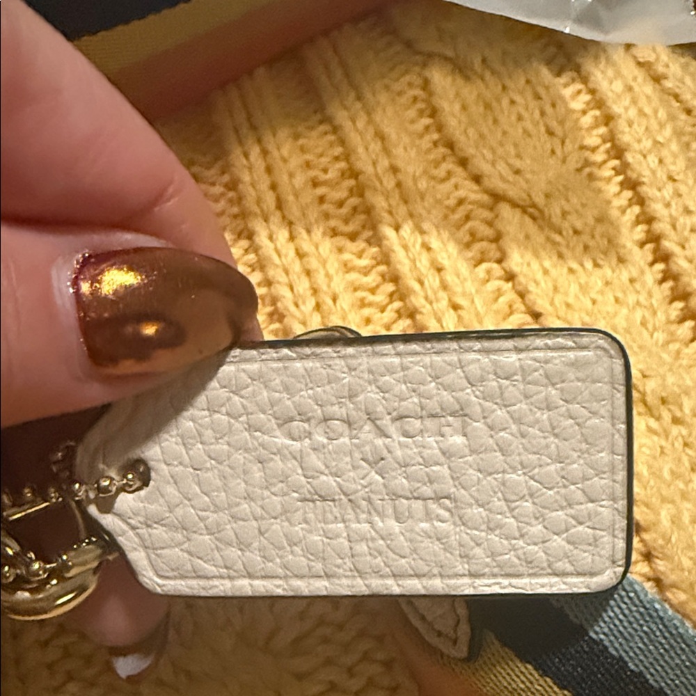 Coach Brown Crossbody Bag with Snoopy Patch - Picture 6 of 7